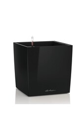 Premium Brick Tout Inclus S