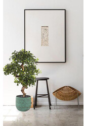 Plante artificielle Pittosporum (bonsaï) dans pot Evi