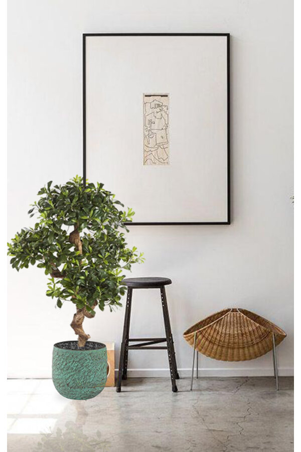 Plante artificielle Pittosporum (bonsaï) dans pot Evi