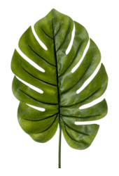 Feuille de Monstera XL