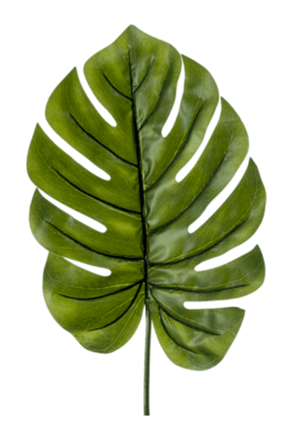 Monstera blad XL