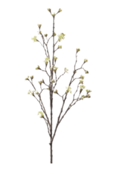 Esdoorn fruit kunsttak