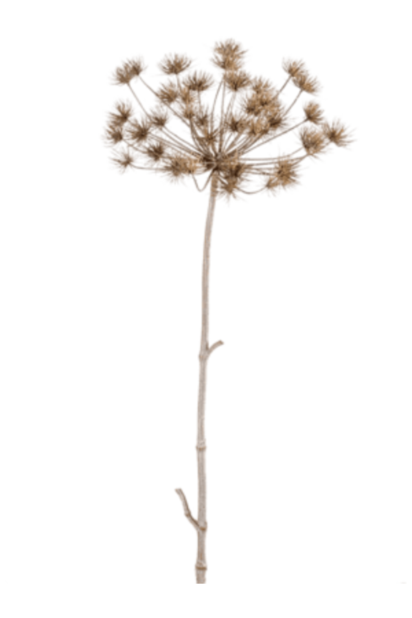 Branche artificielle Heracleum marron