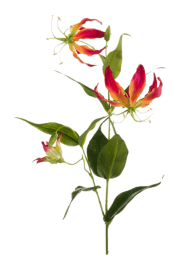 Branche artificielle Gloriosa