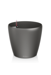 klassiek All Inclusive Kingsize