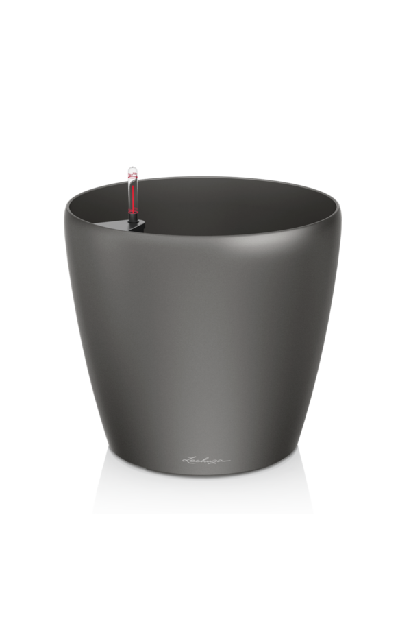 klassiek All Inclusive Kingsize