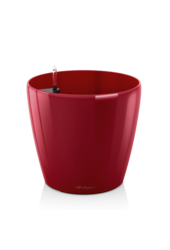 klassiek All Inclusive Kingsize