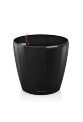 klassiek All Inclusive Kingsize