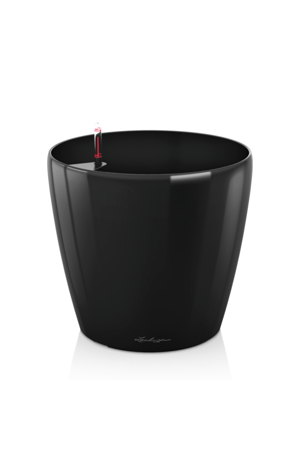 klassiek All Inclusive Kingsize