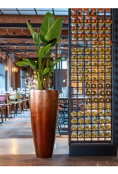 Messina Feuille d'argent Haute L