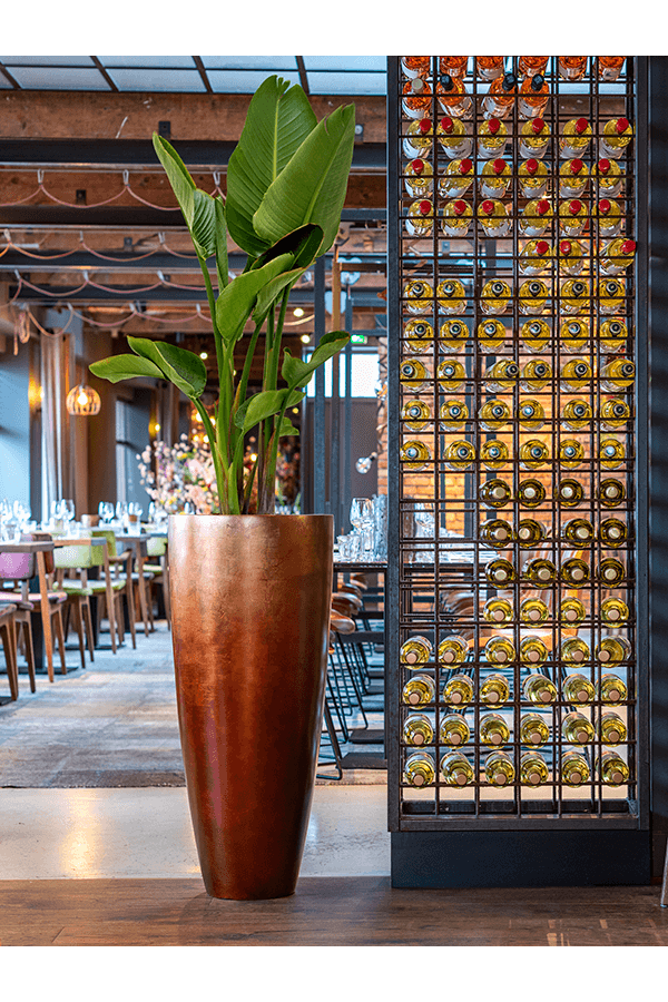 Messina Feuille d'argent Haute L