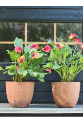 Pot Bola gris Ø 55 cm