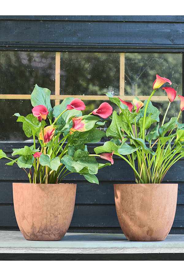 Pot Bola gris Ø 55 cm