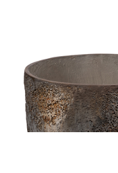 Huître Marron Haute XL