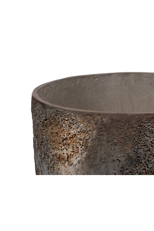 Huître Marron Haute XL