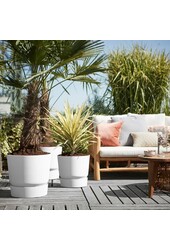 Greenville rond blanc L