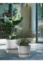 Greenville rond blanc L