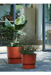 Greenville rond blanc L