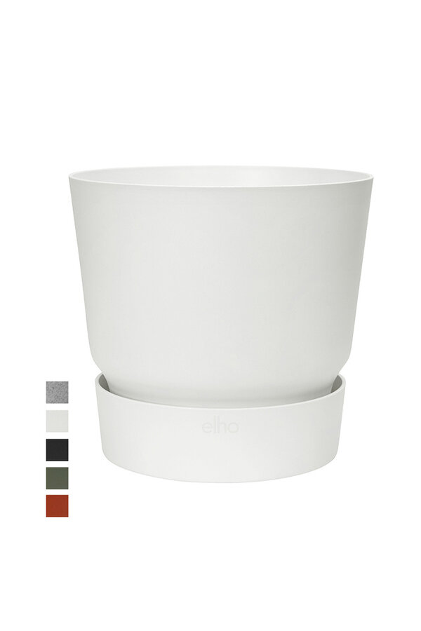 Greenville rond blanc M