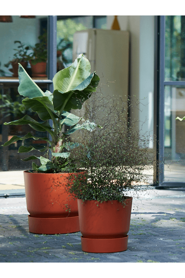 Greenville rond blanc M