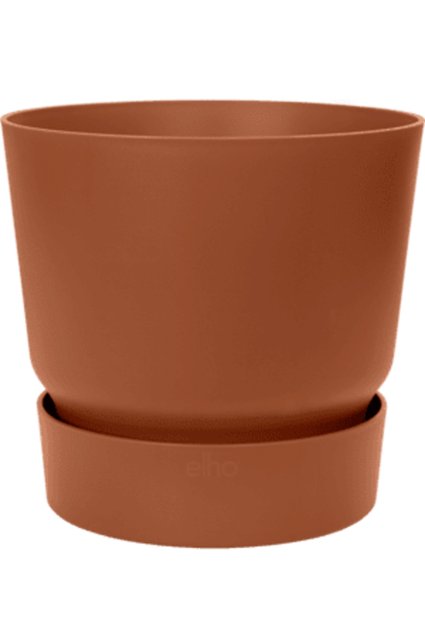 Greenville rond blanc M