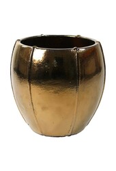 Pot Emperor or bas XL