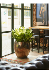 Pot Emperor or bas XL