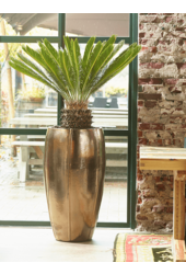 Pot Emperor or haut XL