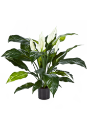 Spathiphyllum kunstplant