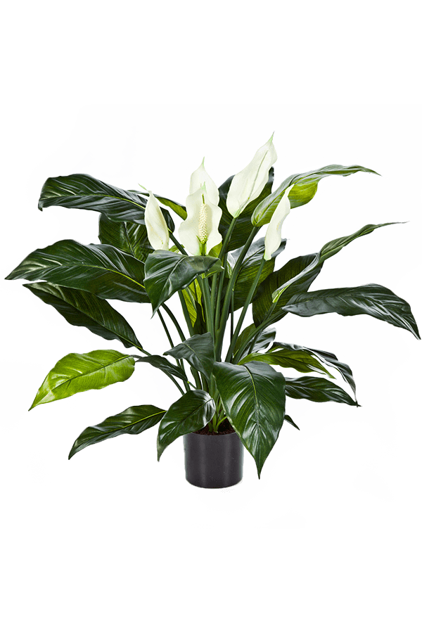 Spathiphyllum kunstplant