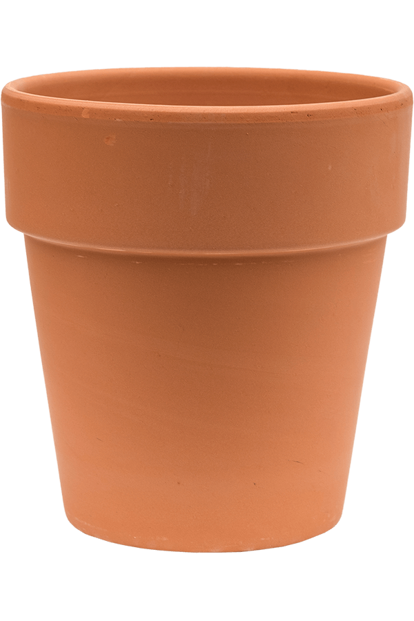 Terracotta bord haut 21