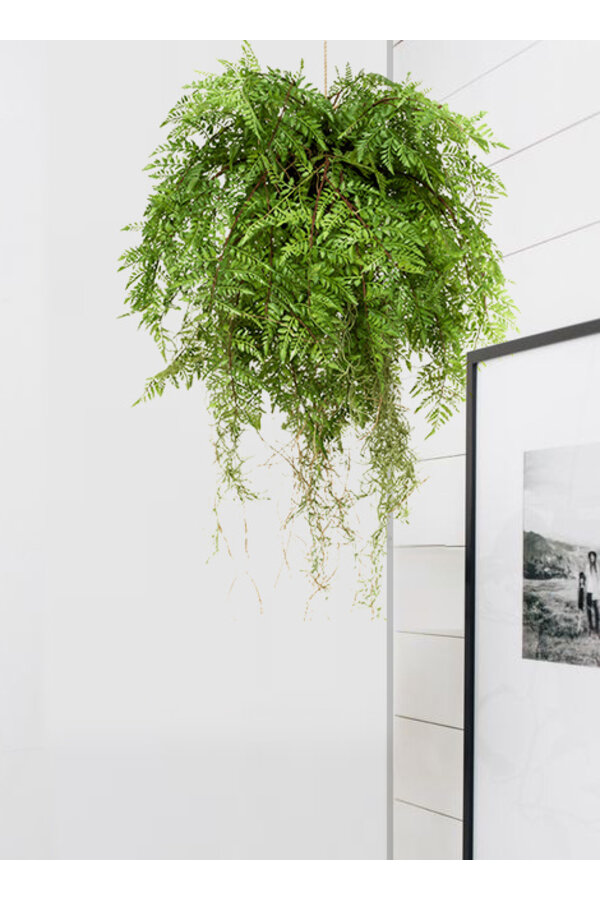 Plante artificielle suspendue Fern Roots