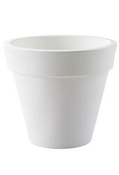 Plante artificielle Polyscias dans Pure Rond S