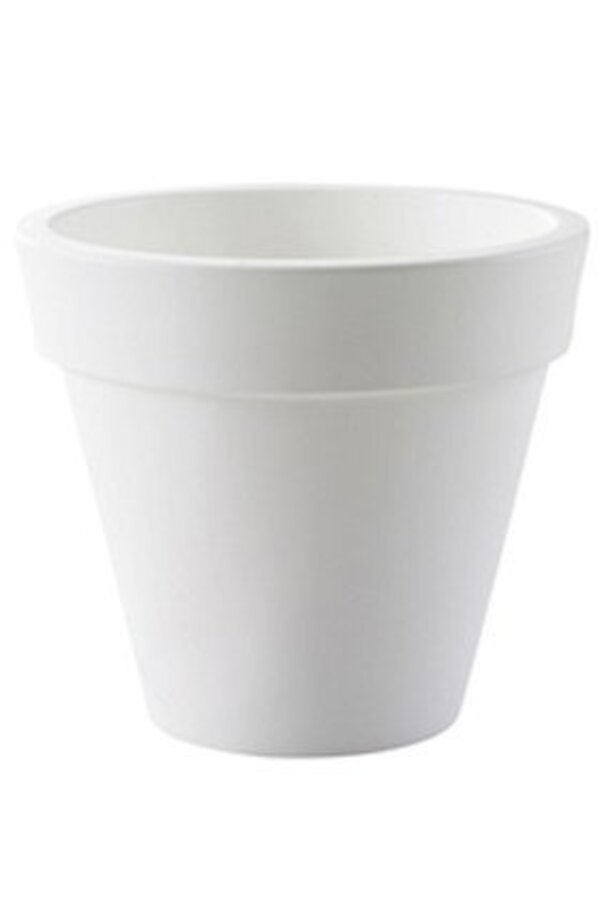 Plante artificielle Polyscias dans Pure Rond S