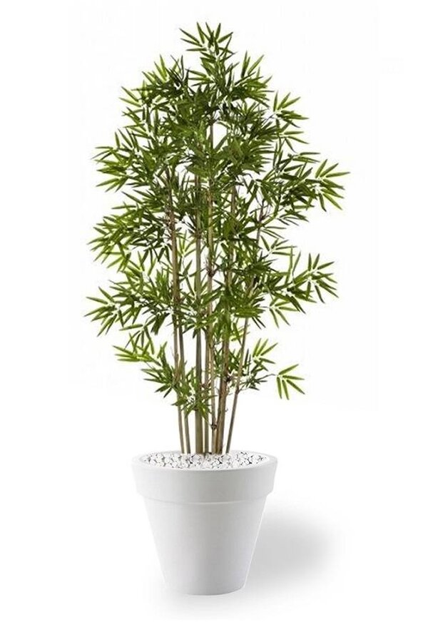 Plante artificielle Bambou dans Pure Rond S
