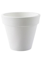 Plante artificielle Bambou dans Pure Rond S