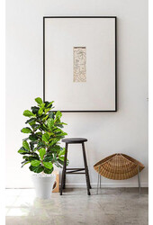 kunstplant Ficus lyrata in Pure Rond S