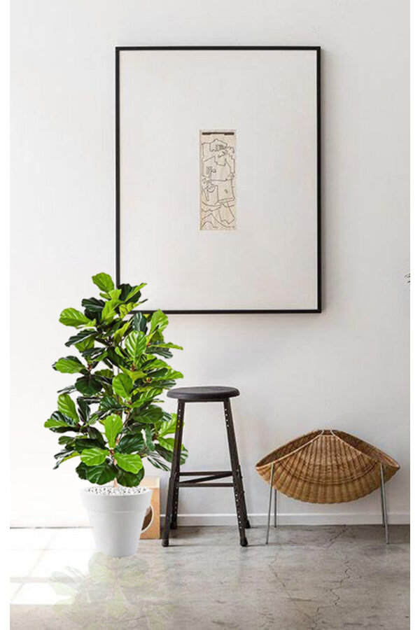kunstplant Ficus lyrata in Pure Rond S