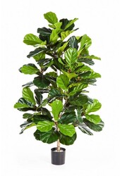 kunstplant Ficus lyrata in Pure Rond S
