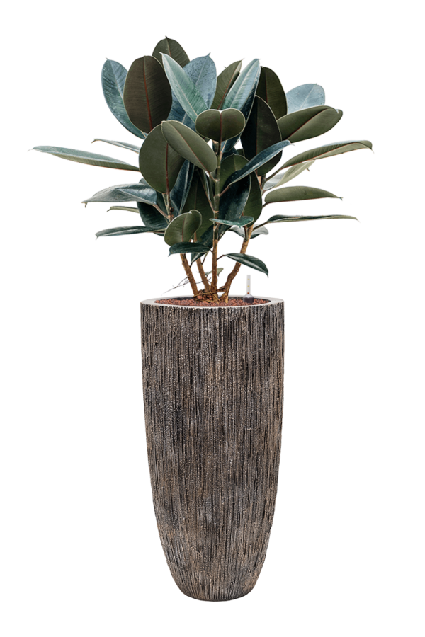 Pot Cascade Luxueux Haut