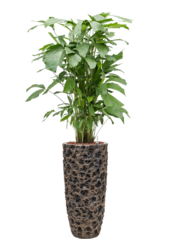 Luxueux Pot Lune Haut