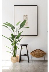 Plante artificielle Heleconia L