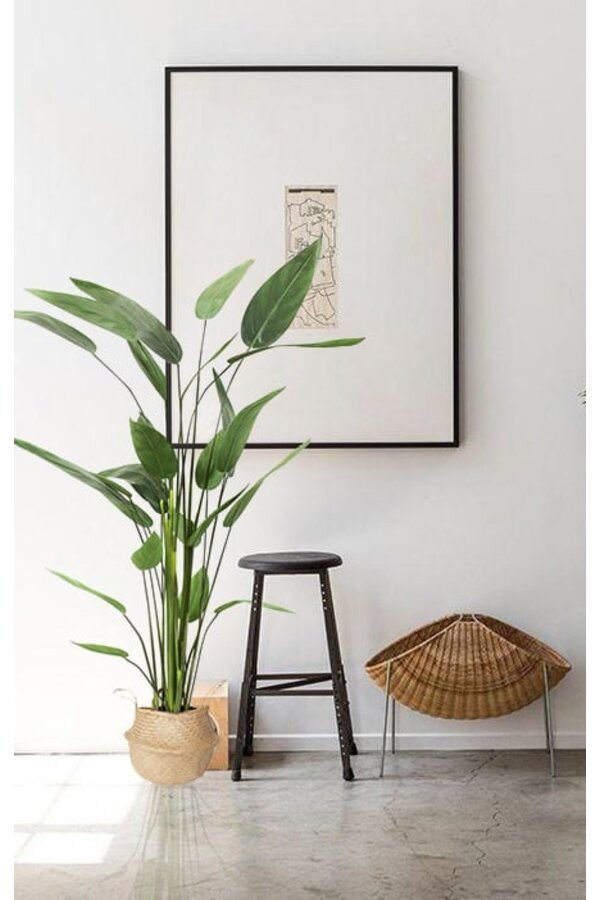 Plante artificielle Heleconia L