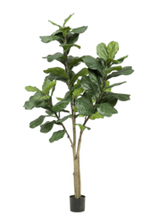 Ficus Lyrata XL plante artificielle