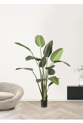 Strelitzia XL kunstplant