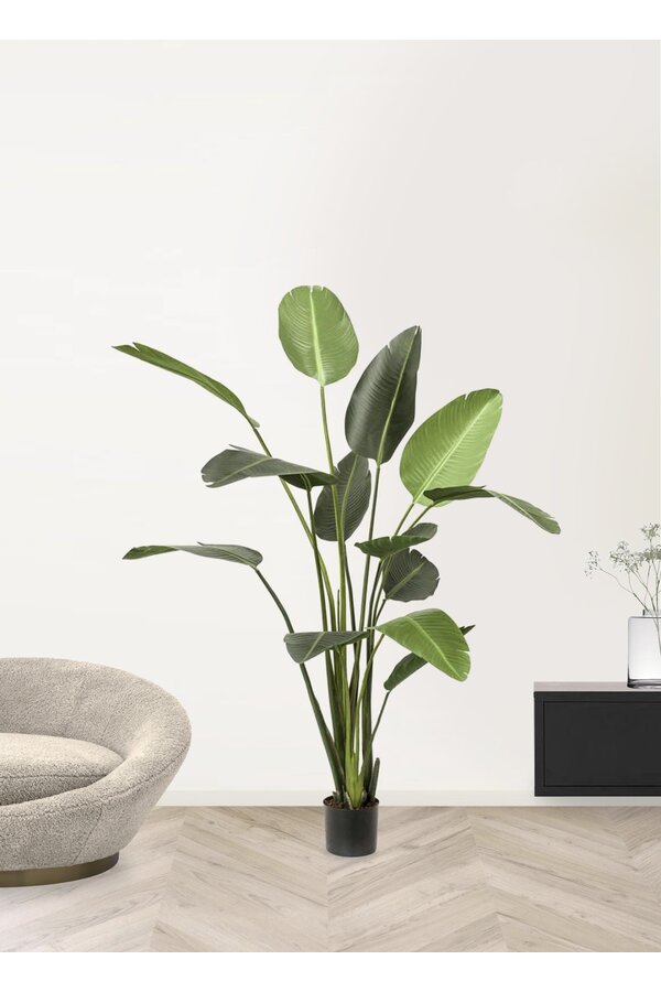 Strelitzia XL kunstplant