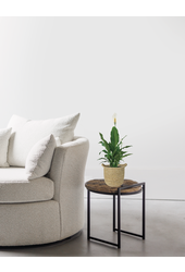 Spathiphyllum dans un pot naturel Nelis