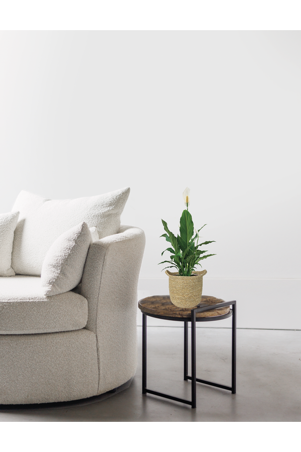 Spathiphyllum dans un pot naturel Nelis