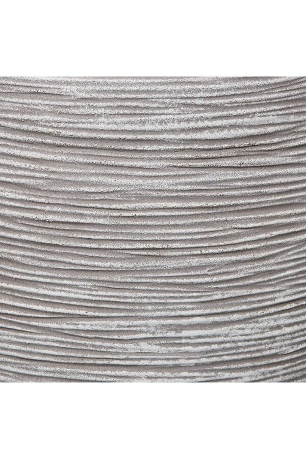 Aglaonema Silver Dans un Vase Élégant