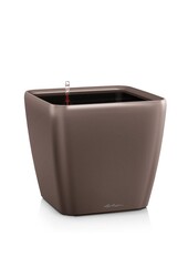 Quadro Tout Inclus XL